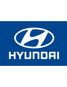 Recambio bandera de interior